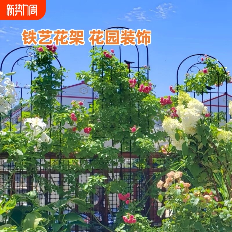 户外铁艺花园庭院栅栏爬藤架花架铁线莲蔷薇月季植物绿萝撑杆支架