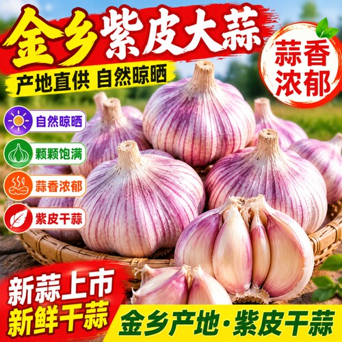【特大干蒜】金乡大蒜干蒜特大果