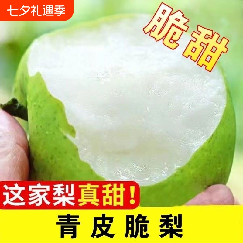 当季鲜果青皮密梨酥脆一号皇冠梨10斤梨子新鲜水果翠冠梨香酥脆梨