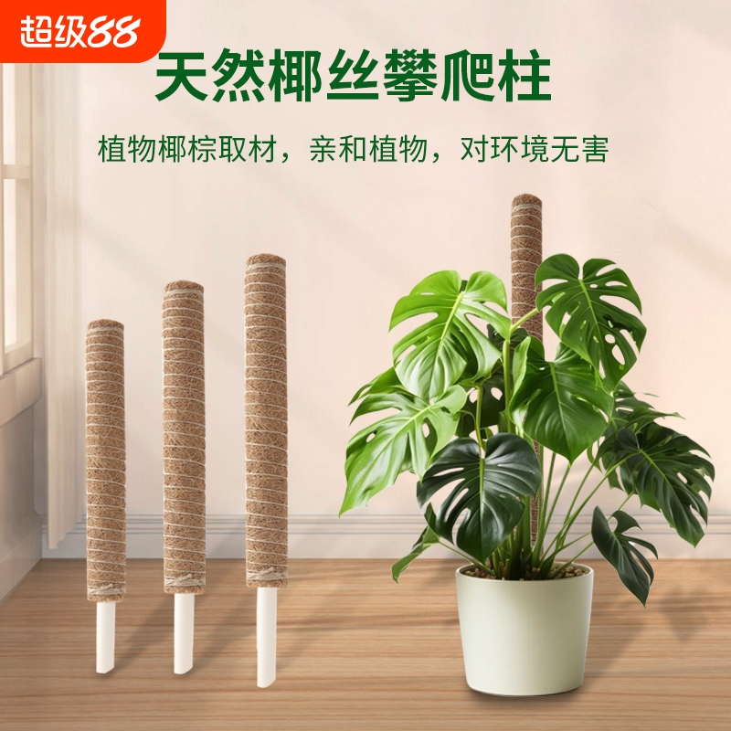 植物爬藤花架棕地插龟背竹支撑杆绿萝攀爬柱椰棕棒固定架室外室内