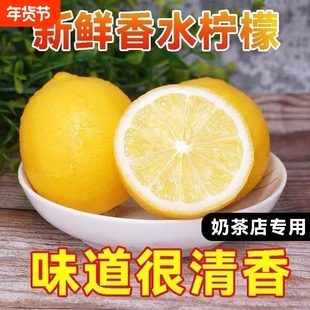 广东香水柠檬黄果树上自然熟香味浓郁新鲜现搞现发安岳手打柠檬茶