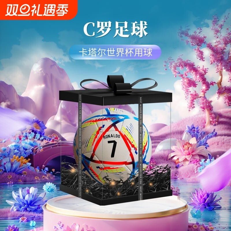 C罗足球限量版中考训练专用5号球成人欧洲杯比赛生日礼物儿童4号