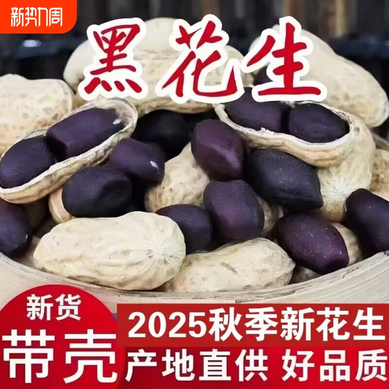 新货山东特产带壳黑花生自然生晒干新鲜黑皮带壳花生批发原味生吃