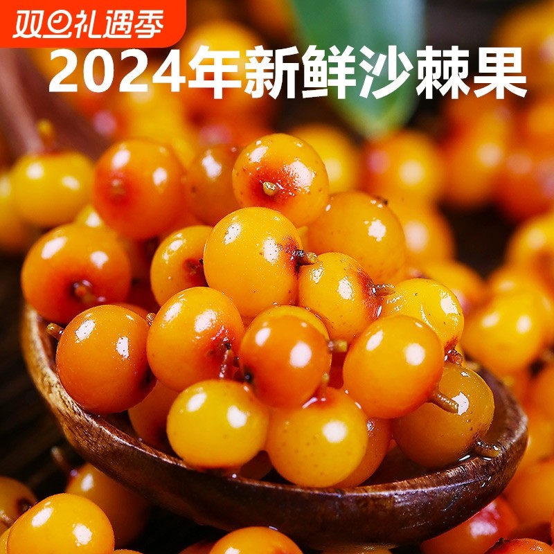 野生新鲜沙棘果20斤鲜果包邮正品吕梁特产醋柳果特级沙棘酵素榨汁