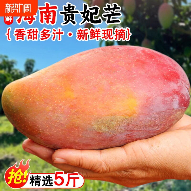 【新货速发】海南贵妃芒果新鲜水果当季特大果甜心芒果整箱包邮