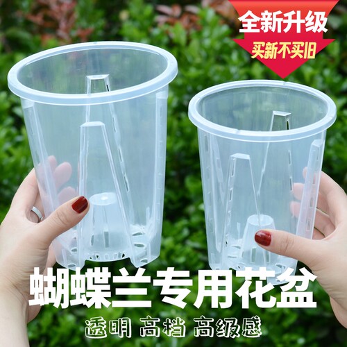 蝴蝶兰专用花盆透明2024升级新款