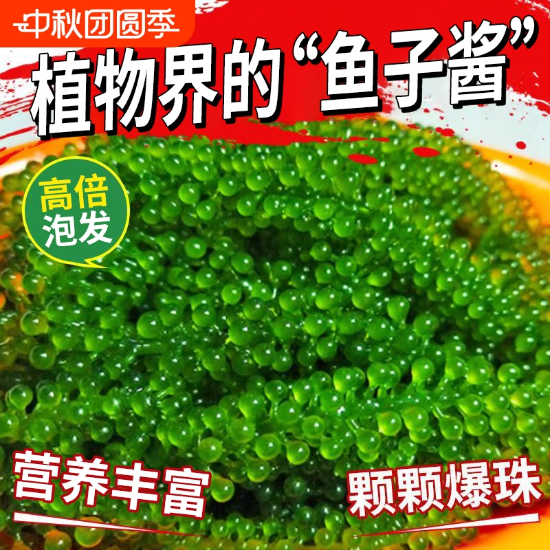 即食海葡萄营养丰富植物鱼子酱