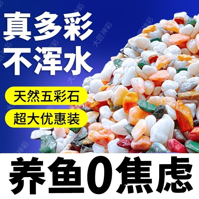 天然雨花石五彩石鱼缸造景底部砂石盆栽多肉铺面石鹅卵石装饰摆件,宠物/宠物食品及用品,造景/装饰,淘宝优惠券,粉丝福利购,淘宝优惠卷
