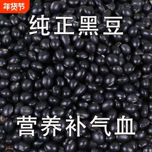【新黑豆特价】特极黑豆打豆浆专用黄心黑豆豆芽泡醋农家非转基因