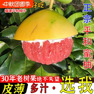福建平和琯溪蜜柚红新柚5斤装