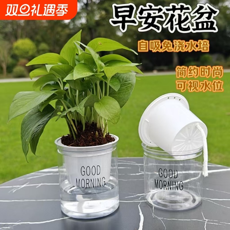 早安水培花盆自动吸透明懒人绿萝多肉免浇双层塑料自吸吸水植物
