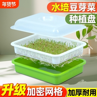 芽苗菜育苗盘豆芽发芽神器无土栽培专用盆水培家用控根板秧苗盘