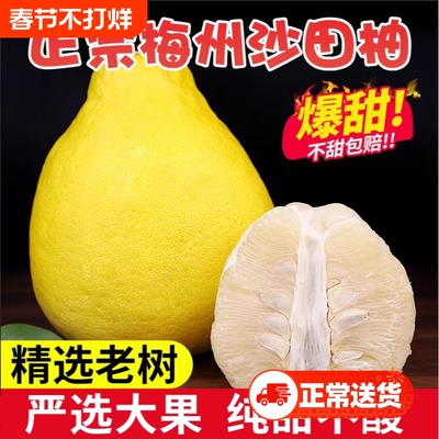 【纯甜】正宗广东梅州沙田柚子金柚白心肉当季孕妇新鲜水果非容县