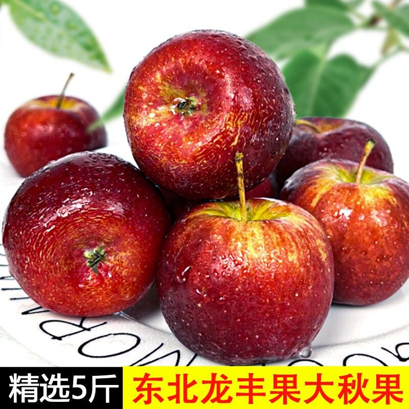 东北龙丰果大秋果酸甜小苹果图片