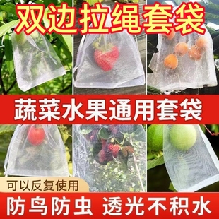 水果草莓套袋无花果葡萄专用袋防虫防鸟神器网袋石榴桃子西瓜香瓜
