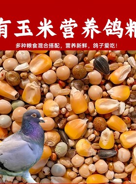 鸽子饲料营养幼鸽粮10斤包邮