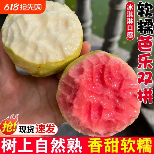软糯奶油芭乐番石榴新鲜冰淇淋小香果孕妇水果当季双拼红心告白