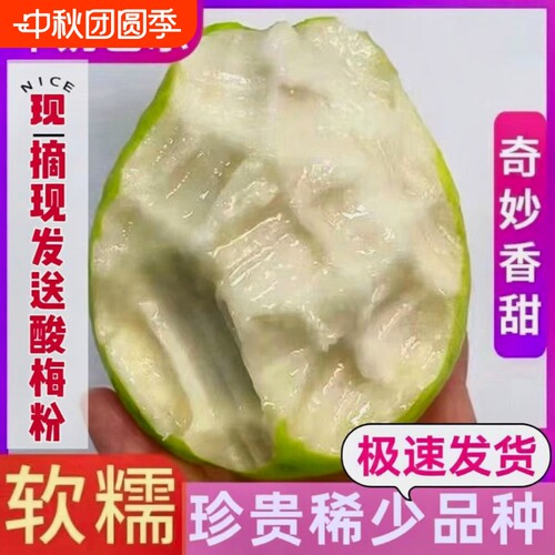 广东软糯奶油芭乐大果新鲜水果