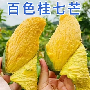 正宗广西百色田东桂七芒果新鲜当季水果现摘青皮芒果包邮果香浓郁