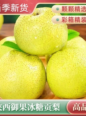百年老树酥梨当季水果新鲜现摘陕西青梨香梨雪梨皇翠冠整箱