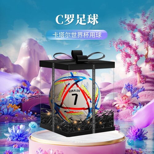 C罗足球限量版中考训练专用5号球成人欧洲杯比赛生日礼物儿童4号