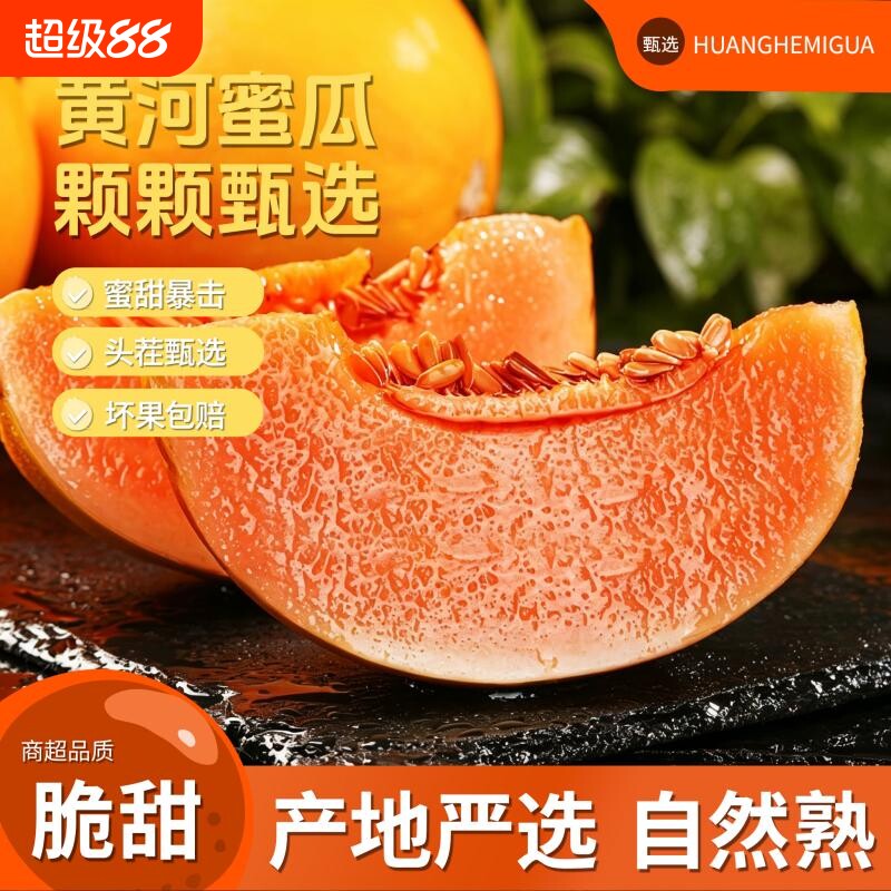 正宗黄河蜜瓜新鲜应季水果现摘图片