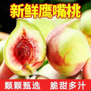 正宗鹰嘴桃大果5斤应当季现摘新鲜水果连平甜脆毛桃水蜜桃子整箱
