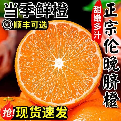 橙子伦晚脐橙湖北秭归新鲜10斤大果甜春橙榨汁手剥橙整箱当季水果