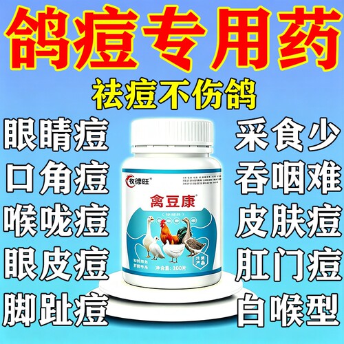 鸽痘专用药特效灵治的药嘴角眼皮爪子长脓豆赛鸽鸽药大全宠物