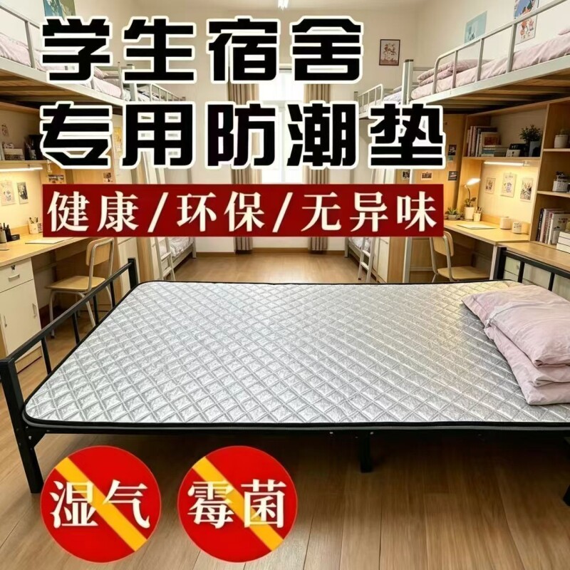 宿舍隔热防潮垫午睡地垫防湿床垫防霉防水户外家用打地铺野餐垫子图片