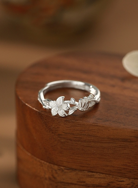 999纯银戒指女小众高级感轻奢