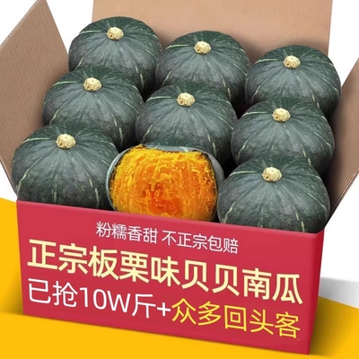 正宗板栗味贝贝小南瓜拍下立省