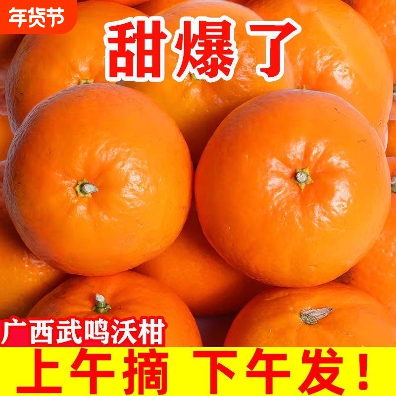 沃柑巨正宗广西武鸣新鲜柑橘当季水果孕妇水果非无籽果子果园,水产肉类/新鲜蔬果/熟食,桔子,淘宝优惠券,粉丝福利购,淘宝优惠卷