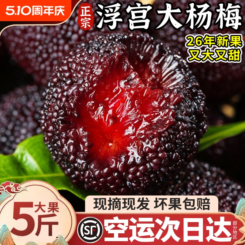 顺丰空运正宗仙居甜杨梅新鲜水果现摘现发东魁孕妇当季整箱包邮甜