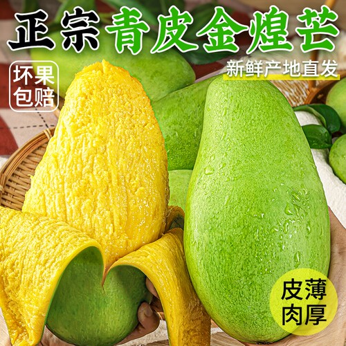 现摘大青芒树上熟9斤热带水果批发整箱芒果薄皮超甜金煌芒新鲜