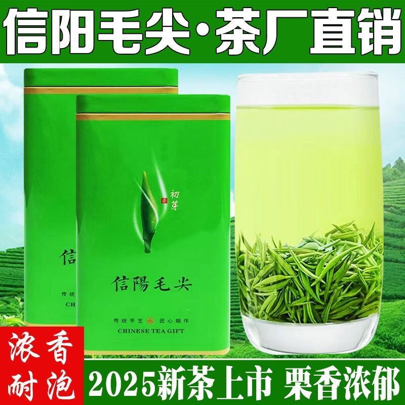 信阳毛尖2025自产自销春季雨前高山嫩芽茶叶浓香耐泡口粮散装绿茶