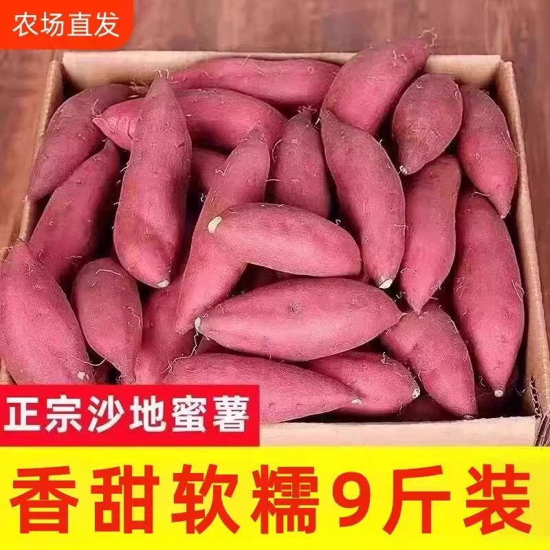沙地龙九蜜薯红薯新鲜9斤番薯农家现发烤地瓜山芋紫薯自种黄心