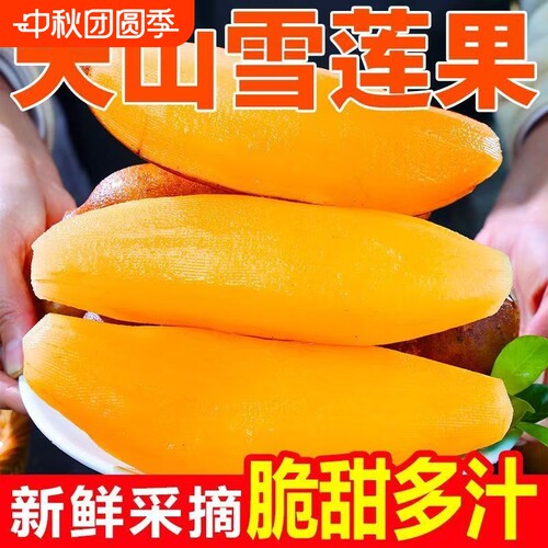 现挖正宗云南天山雪莲果脆甜水果应季新鲜水果清甜批发价整箱包邮