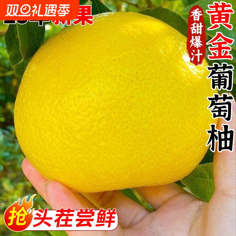 正宗黄金葡萄柚爆汁福建柚子新鲜水果当季黄心蜜柚文甜西柚整箱旦