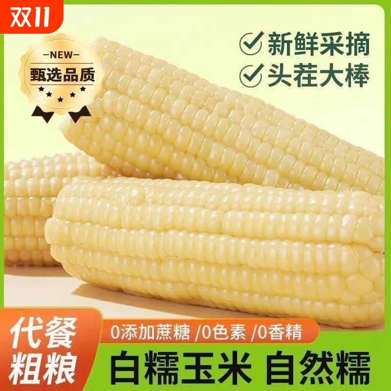 头茬东北糯玉米真空包装非转基因白糯玉棒早餐代餐粘玉米熟黏玉米