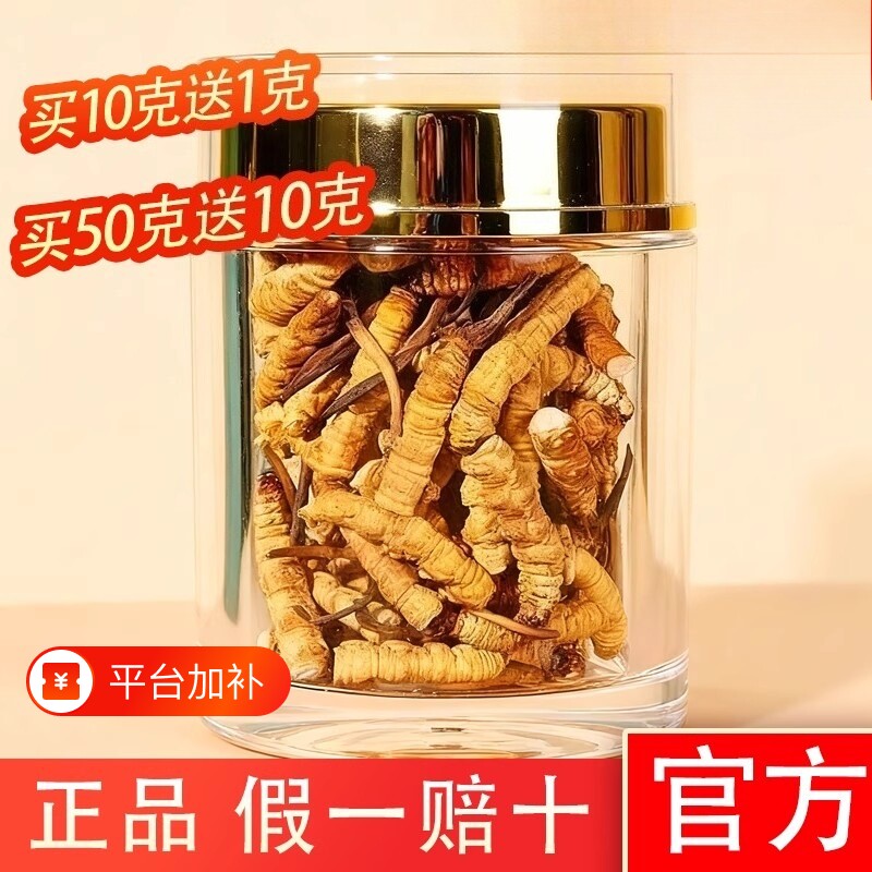 高海拔那曲特级冬虫夏草大断草新货头期干刷官方正品正宗假一赔十