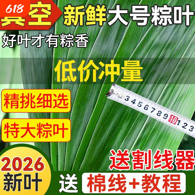 粽叶新鲜粽子叶大号特现摘包棕专用干家商批发旗舰店野生箬叶子