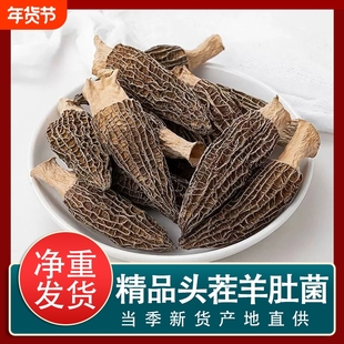 近期新货头茬羊肚菌干货新鲜晾晒个大饱满菌香浓郁颗颗精选批发