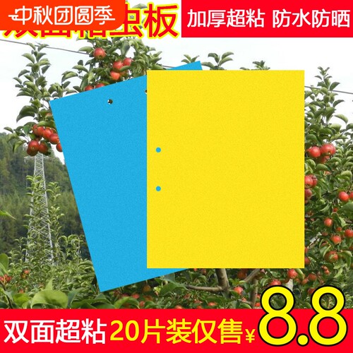 粘蝇板果蝇小飞虫黄板诱虫板大棚