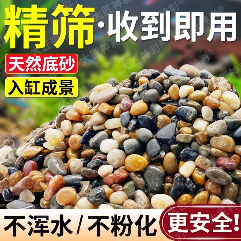 原生天然溪流石鱼缸底砂造景水族乌龟专用铺底装饰鹅卵石雷龙底沙