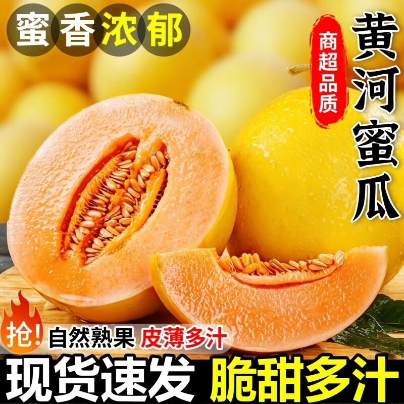 甘肃民勤蜜瓜沙漠蜜瓜黄河哈密瓜甜瓜香脆冰糖八月瓜水果新鲜当季