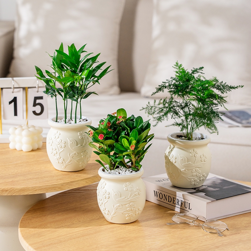 桌面治愈系列绿植盆栽桃花盆