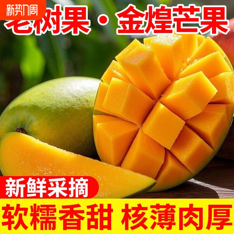 新鲜金煌芒当季热带水果芒果青芒甜心芒青皮金煌芒现摘整箱