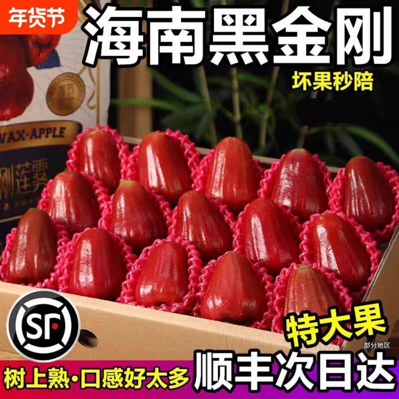 莲雾黑金刚【顺丰京东】特级三亚精品大果脆甜多汁新鲜包邮连雾