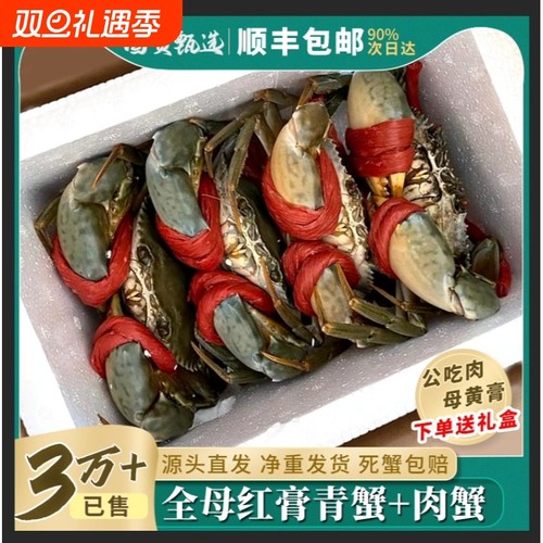 东山岛鲜活野生青蟹特大红膏蟹